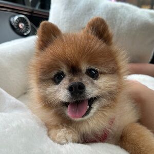 Meet your Posher, 마리아